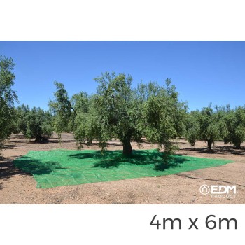Manta verde para colheita azeitona 4x6m